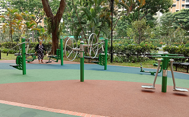 Choosing the Right Outdoor Fitness Equipment for your Community Parks